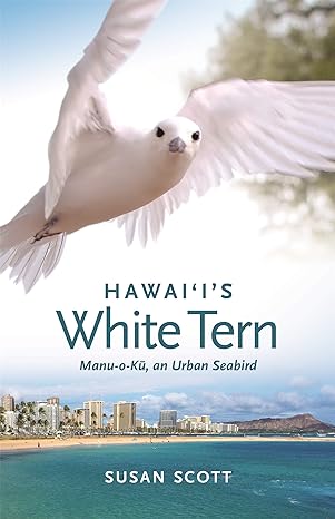 hawaiis white tern manu o ku an urban seabird 1st edition susan scott 0824878027, 978-0824878023