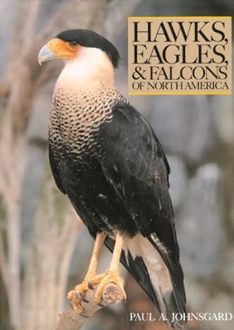 hawks eagles and falcons of north america biology and natural history 1st edition paul a johnsgard