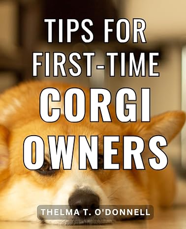 tips for first time corgi owners unlock the secrets to nurturing a loving relationship with your corgi and