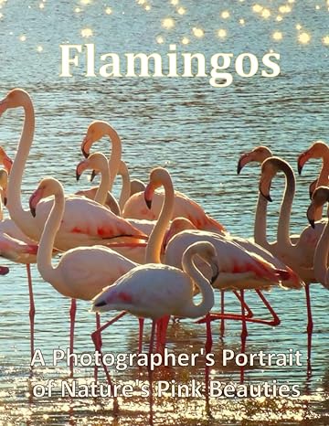 Flamingos A Photographers Portrait Of Natures Pink Beauties Discovering The Elegance And Intrigue Of Flamingos A Visual Journey Into The Lives Of Pink Waders