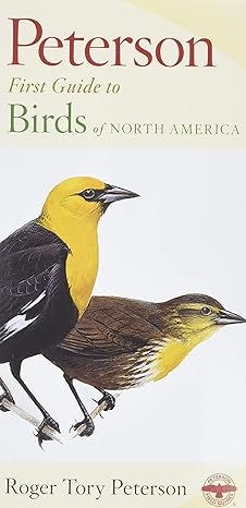 peterson first guide to birds of north america 1st edition roger tory peterson 0395906660, 978-0395906668