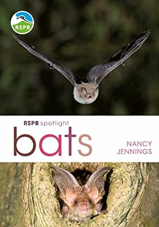 rspb spotlight bats 1st edition nancy jennings 1472950054, 978-1472950055