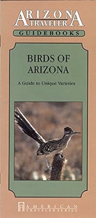 birds of arizona a guide to unique varieties 1st edition eleanor ayer 1558380930, 978-1558380936