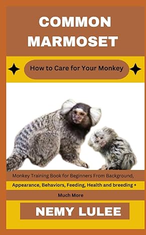 common marmoset how to care for your monkey monkey training book for beginners from background appearance