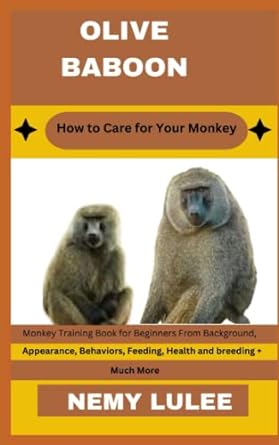 olive baboon how to care for your monkey monkey training book for beginners from background appearance