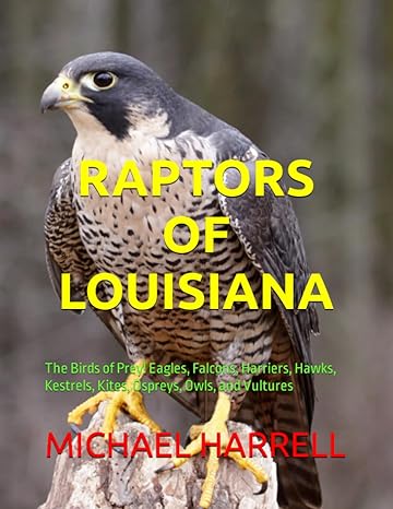 raptors of louisiana the birds of prey eagles falcons harriers hawks kestrels kites ospreys owls and vultures