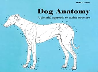 dog anatomy a pictorial approach to canine structure 1st edition peter goody 0851316360, 978-0851316369