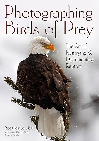 photographing birds of prey the art of identifying and documenting raptors 1st edition scott joshua dere