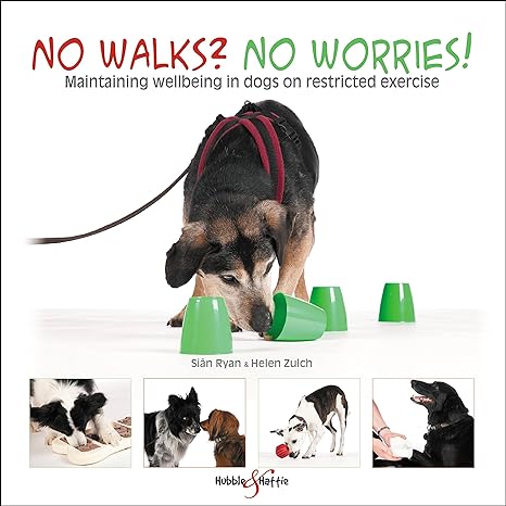 no walks no worries maintaining wellbeing in dogs on restricted exercise 1st edition sian ryan 1787115054,