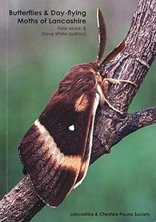 the butterflies and day flying moths of lancashire and north merseyside 1st edition pete marsh ,steve white