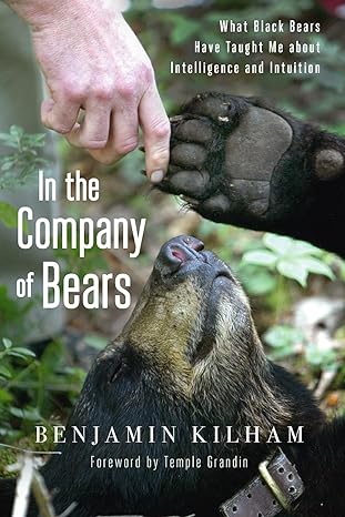 in the company of bears what black bears have taught me about intelligence and intuition 1st edition benjamin