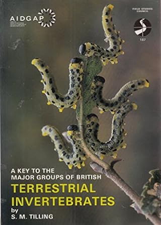 a key to major groups of british terrestrial invertebrates 1st edition s m tilling 1851531882, 978-1851531882