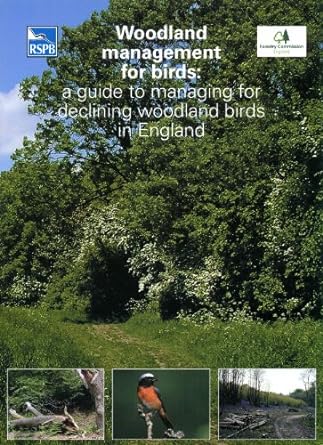 woodland management for birds a guide to managing for declining woodland birds in england 1st edition n symes