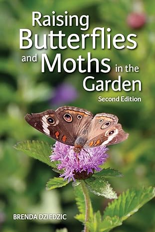 raising butterflies and moths in the garden 2nd edition brenda dziedzic 0228104203, 978-0228104209