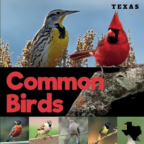 common birds of texas a beginner friendly picture guide book for birdwatching and identification 1st edition