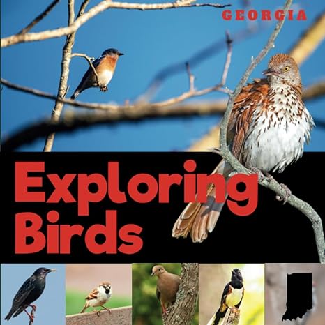exploring birds of georgia a simple picture guide book for beginner birdwatching and identification 1st