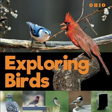 exploring birds of ohio a simple picture guide book for beginner birdwatching and identification 1st edition