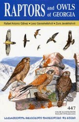 raptors and owls of georgia english / georgian 1st edition rafael antonio galvez ,lexo gavashelishvili ,zura