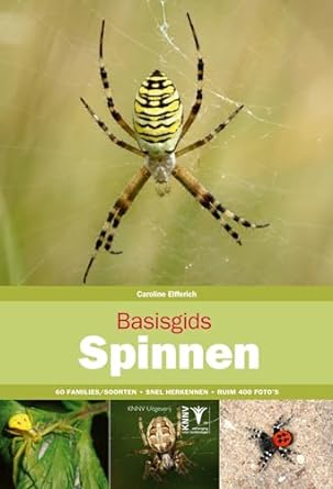 basisgids spinnen basic guide to spiders 1st edition caroline elfferich 9050116671, 978-9050116671