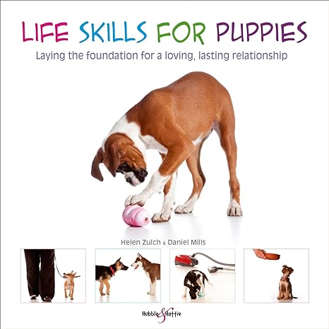 life skills for puppies laying the foundation for a loving lasting relationship reissue edition helen zulch
