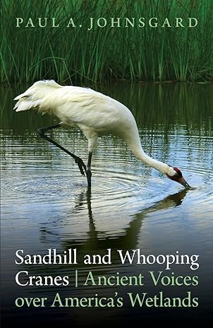 sandhill and whooping cranes ancient voices over americas wetlands 1st edition paul a johnsgard 0803234961,