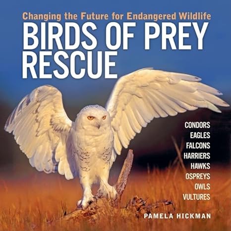 birds of prey rescue changing the future for endangered wildlife 1st edition pamela hickman 1554071445,