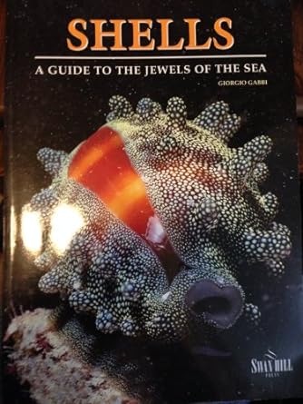 shells guide to the jewels of the sea 1st edition giorgio gabbi 1840371323, 978-1840371321