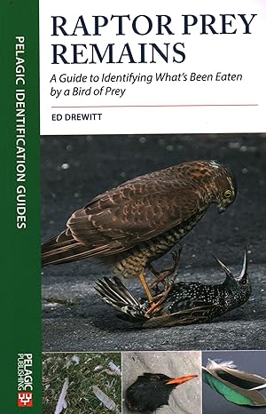 raptor prey remains a guide to identifying whats been eaten by a bird of prey 1st edition ed drewitt