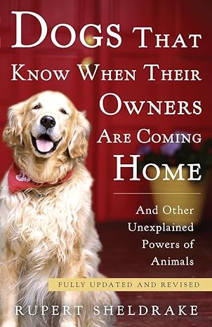 dogs that know when their owners are coming home fully updated and revised updated edition rupert sheldrake