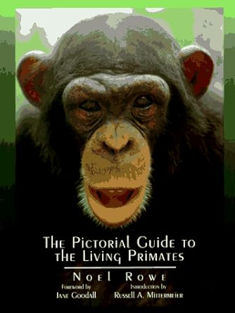 the pictorial guide to the living primates 1st edition noel rowe ,russell a mittermeier 0964882515,