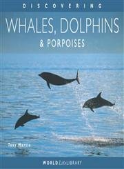 discovering whales dolphins and porpoises 1st edition tony martin 1841071730, 978-1841071732