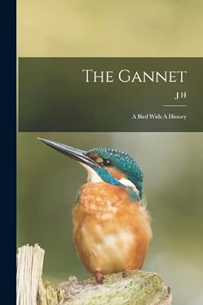 the gannet a bird with a history 1st edition j h 1848 1922 gurney 1018513345, 978-1018513348