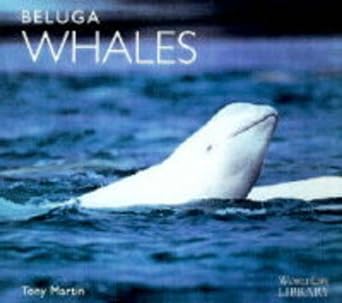 beluga whales 1st edition anthony r martin 1900455080, 978-1900455084