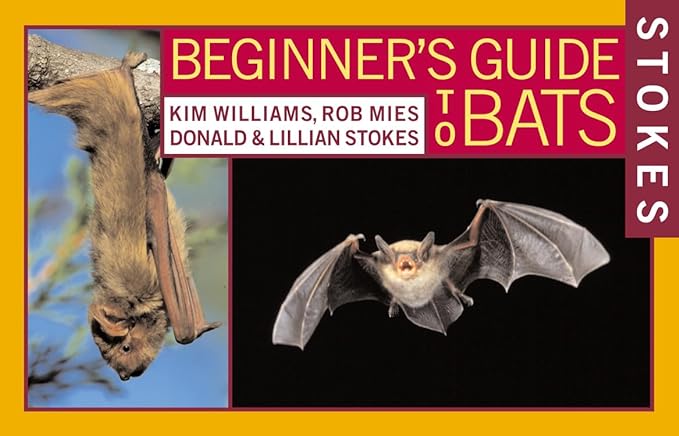 stokes beginners guide to bats 1st edition lillian q stokes ,donald stokes ,kim williams ,rob mies