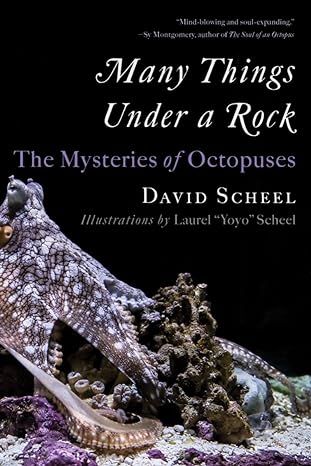 Many Things Under A Rock The Mysteries Of Octopuses