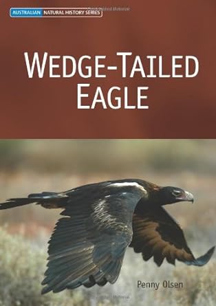 wedge tailed eagle 1st edition penny olsen 0643091653, 978-0643091658