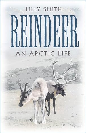 reindeer an arctic life 1st edition tilly smith 1803990651, 978-1803990651