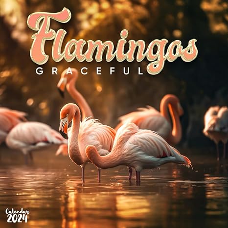 flamingo serenity 2024 calendar of elegant waders a year of graceful poses and tropical beauty tailored for