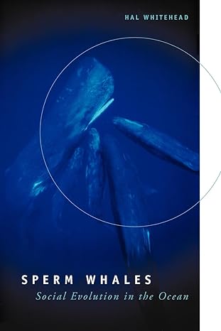sperm whales social evolution in the ocean 1st edition hal whitehead 0226895181, 978-0226895185