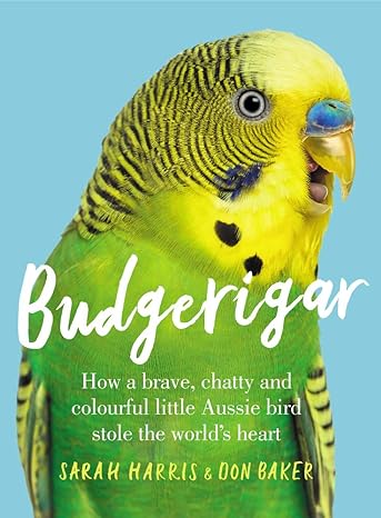 Budgerigar How A Brave Chatty And Colourful Little Aussie Bird Stole The Worlds Heart