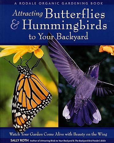 attracting butterflies and hummingbirds to your backyard watch your garden come alive with beauty on the wing