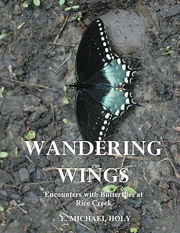 wandering wings encounters with butterflies at rice creek 1st edition e michael holy b0cd6tdtzn,