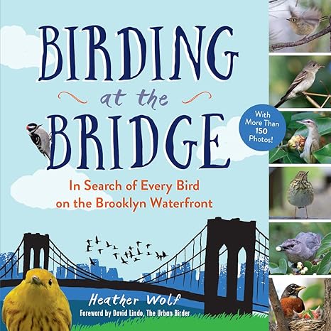 birding at the bridge in search of every bird on the brooklyn waterfront 1st edition heather wolf ,david