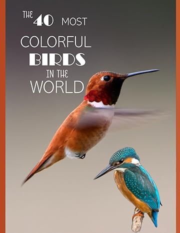 The 40 Most Colorful Birds In The World Fantastic Way To Explore The Colorful World Of Birds Coffee Table Picture Book Or Perfect Gift For Seniors Or Dementia Relaxing And Meditation