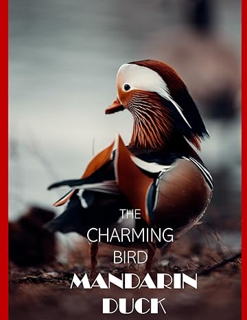 mandarin duck the enchanting beauty of the mandarin duck coffee table picture book or perfect gift for
