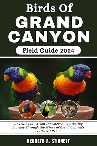 birds of grand canyon field guide 2024 unveiling the avian tapestry a captivating journey through the wings