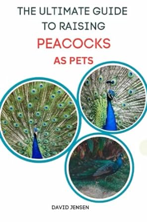 ultimate guide to raising peacocks as pets a beginners guide to everything you need to know about a peacocks