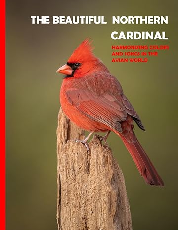the beautiful northern cardinal natures scarlet jewel discovering the beauty of the northern cardinal a gift