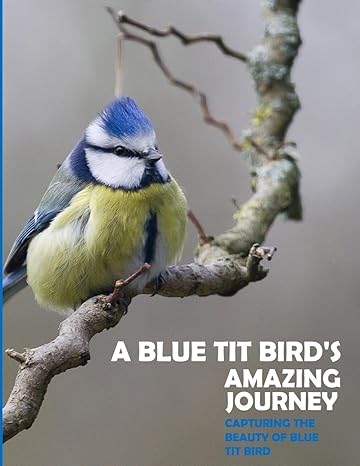 A Blue Tit Birds Amazing Journey Natures Tiny Gems A Photographic Journey Into The World Of Blue Tits A Gift Book For Alzheimers Patients And Picture Book Relaxing And Meditation