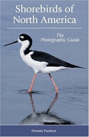 shorebirds of north america the photographic guide 1st edition dennis paulson 0691121079, 978-0691121079